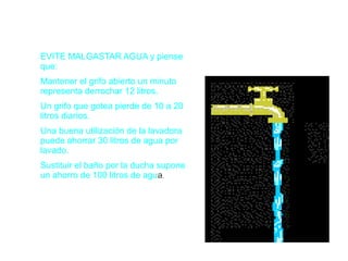 EVITE MALGASTAR AGUA y piense
que:
Mantener el grifo abierto un minuto
representa derrochar 12 litros.
Un grifo que gotea pierde de 10 a 20
litros diarios.
Una buena utilización de la lavadora
puede ahorrar 30 litros de agua por
lavado.
Sustituir el baño por la ducha supone
un ahorro de 100 litros de agua.
 