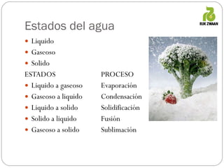 Estados del agua Liquido  Gaseoso  Solido ESTADOS   PROCESO Liquido a gaseoso   Evaporación Gaseoso a liquido   Condensación Liquido a solido   Solidificación Solido a liquido   Fusión Gaseoso a solido   Sublimación 