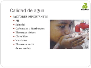 Calidad de agua FACTORES IMPORTANTES PH Salinidad Carbonatos y Bicarbonatos Elementos tóxicos Cloro libre Nutrientes Elementos  traza  (boro, azufre) 