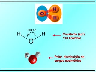 104,5o
O
H
H Covalente (sp
Covalente (sp3
3
)
)
118 kcal/mol
118 kcal/mol
Polar, distribuição de
Polar, distribuição de
cargas assimétrica
cargas assimétrica
 