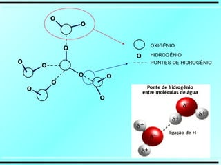 O
O
O
O
O
O
O
O
O
O
OXIGÊNIO
O HIDROGÊNIO
PONTES DE HIDROGÊNIO
 