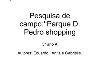 h




       Pesquisa de
     campo:'‘Parque D.
      Pedro shopping
                  5° ano A

    Autores: Eduardo , Anita e Gabrielle.
 