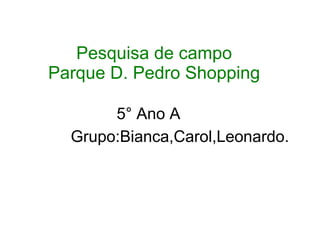 Pesquisa de campo
Parque D. Pedro Shopping

       5° Ano A
  Grupo:Bianca,Carol,Leonardo.
 