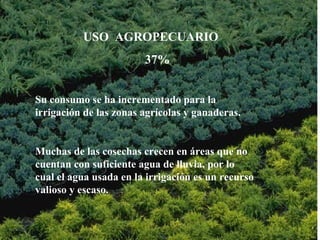 Genreación de energía electrica Recreación Artesanal Medio de transporte USO  AGROPECUARIO 37% Su consumo se ha incrementado para la irrigación de las zonas agrícolas y ganaderas. Muchas de las cosechas crecen en áreas que no cuentan con suficiente agua de lluvia, por lo cual el agua usada en la irrigación es un recurso valioso y escaso.   