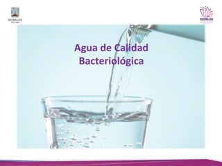 Agua de Calidad
Bacteriológica
 