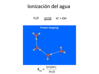Ionización del agua H 2 O H +  + OH - [H + ][OH - ] K eq  = [H 2 O] 