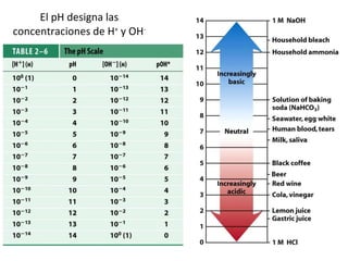 El pH designa las concentraciones de H +  y OH - 