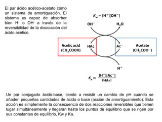 Un par conjugado ácido-base, tiende a resistir un cambio de pH cuando se añaden pequeñas cantidades de ácido o base (acción de amortiguamiento). Esta acción es simplemente la consecuencia de dos reacciones reversibles que tienen lugar simultáneamente y llegaran hasta los puntos de equilibrio que se rigen por sus constantes de equilibrio, Kw y Ka. El par ácido acético-acetato como un sistema de amortiguación. El sistema es capaz de absorber bien H +  o OH -  a través de la reversibilidad de la disociación del ácido acético. 