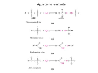 Agua como reactante 