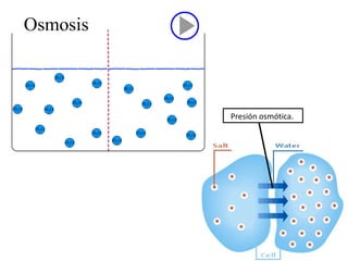Presión osmótica.  