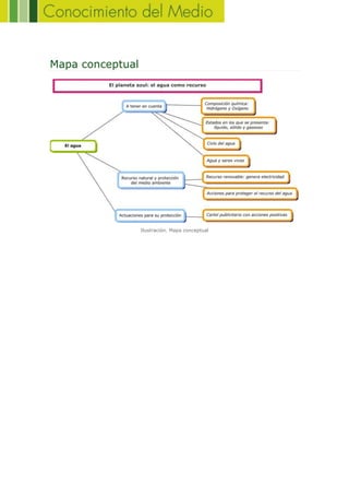 Mapa conceptual
Ilustración. Mapa conceptual
 