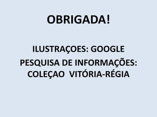 OBRIGADA! 
ILUSTRAÇOES: GOOGLE 
PESQUISA DE INFORMAÇÕES: 
COLEÇAO VITÓRIA-RÉGIA 
