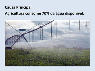 Causa Principal 
Agricultura consome 70% da água disponível. 
 