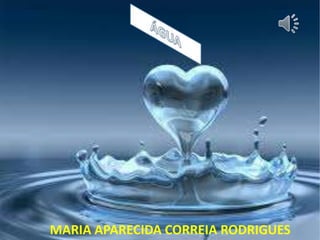 MARIA APARECIDA CORREIA RODRIGUES 
 