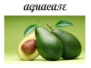 AGUACATE
 