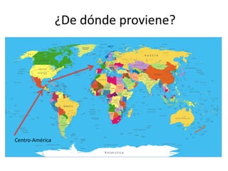 ¿De dónde proviene?
Centro-América