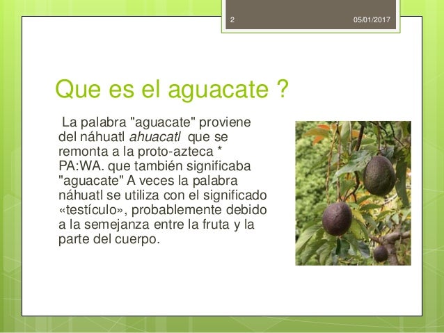 Aguacate