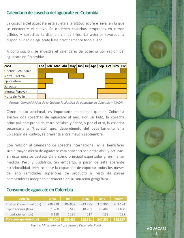 Cartilla de aguacate hass Colombia Procolombia 2018
