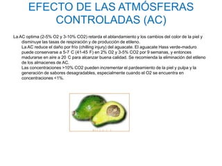 EFECTO DE LAS ATMÓSFERAS
           CONTROLADAS (AC)
La AC optima (2-5% O2 y 3-10% CO2) retarda el ablandamiento y los cambios del color de la piel y
    disminuye las tasas de respiración y de producción de etileno.
    La AC reduce el daño por frío (chilling injury) del aguacate. El aguacate Hass verde-maduro
    puede conservarse a 5-7 C (41-45 F) en 2% O2 y 3-5% CO2 por 9 semanas, y entonces
    madurarse en aire a 20 C para alcanzar buena calidad. Se recomienda la eliminación del etileno
    de los almacenes de AC.
    Las concentraciones >10% CO2 pueden incrementar el pardeamiento de la piel y pulpa y la
    generación de sabores desagradables, especialmente cuando el O2 se encuentra en
    concentraciones <1%.
 