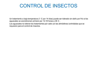 CONTROL DE INSECTOS

Un tratamiento a baja temperatura (1 C por 14 días) puede ser tolerado sin daño por frío si los
aguacates se acondicionan primero por 12-18 horas a 38 C .
Los aguacates no toleran los tratamientos por calor y/o las atmósferas controladas que se
requieren para el control de insectos.
 