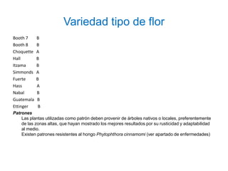 Variedad tipo de flor
Booth 7     B
Booth 8     B
Choquette   A
Hall        B
Itzama      B
Simmonds    A
Fuerte      B
Hass        A
Nabal       B
Guatemala   B
Ettinger     B
Patrones
    Las plantas utilizadas como patrón deben provenir de árboles nativos o locales, preferentemente
    de las zonas altas, que hayan mostrado los mejores resultados por su rusticidad y adaptabilidad
    al medio.
    Existen patrones resistentes al hongo Phytophthora cinnamomi (ver apartado de enfermedades)
 