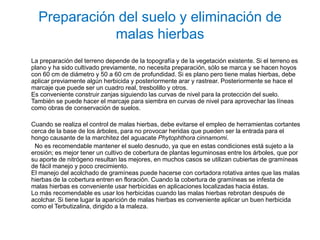 Preparación del suelo y eliminación de
             malas hierbas
La preparación del terreno depende de la topografía y de la vegetación existente. Si el terreno es
plano y ha sido cultivado previamente, no necesita preparación, sólo se marca y se hacen hoyos
con 60 cm de diámetro y 50 a 60 cm de profundidad. Si es plano pero tiene malas hierbas, debe
aplicar previamente algún herbicida y posteriormente arar y rastrear. Posteriormente se hace el
marcaje que puede ser un cuadro real, tresbolillo y otros.
Es conveniente construir zanjas siguiendo las curvas de nivel para la protección del suelo.
También se puede hacer el marcaje para siembra en curvas de nivel para aprovechar las líneas
como obras de conservación de suelos.

Cuando se realiza el control de malas hierbas, debe evitarse el empleo de herramientas cortantes
cerca de la base de los árboles, para no provocar heridas que pueden ser la entrada para el
hongo causante de la marchitez del aguacate Phytophthora cinnamomi.
 No es recomendable mantener el suelo desnudo, ya que en estas condiciones está sujeto a la
erosión; es mejor tener un cultivo de cobertura de plantas leguminosas entre los árboles, que por
su aporte de nitrógeno resultan las mejores, en muchos casos se utilizan cubiertas de gramíneas
de fácil manejo y poco crecimiento.
El manejo del acolchado de gramíneas puede hacerse con cortadora rotativa antes que las malas
hierbas de la cobertura entren en floración. Cuando la cobertura de gramíneas se infesta de
malas hierbas es conveniente usar herbicidas en aplicaciones localizadas hacia éstas.
Lo más recomendable es usar los herbicidas cuando las malas hierbas rebrotan después de
acolchar. Si tiene lugar la aparición de malas hierbas es conveniente aplicar un buen herbicida
como el Terbutizalina, dirigido a la maleza.
 