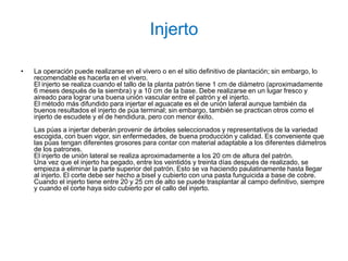 Injerto

•   La operación puede realizarse en el vivero o en el sitio definitivo de plantación; sin embargo, lo
    recomendable es hacerla en el vivero.
    El injerto se realiza cuando el tallo de la planta patrón tiene 1 cm de diámetro (aproximadamente
    6 meses después de la siembra) y a 10 cm de la base. Debe realizarse en un lugar fresco y
    aireado para lograr una buena unión vascular entre el patrón y el injerto.
    El método más difundido para injertar el aguacate es el de unión lateral aunque también da
    buenos resultados el injerto de púa terminal; sin embargo, también se practican otros como el
    injerto de escudete y el de hendidura, pero con menor éxito.
    Las púas a injertar deberán provenir de árboles seleccionados y representativos de la variedad
    escogida, con buen vigor, sin enfermedades, de buena producción y calidad. Es conveniente que
    las púas tengan diferentes grosores para contar con material adaptable a los diferentes diámetros
    de los patrones.
    El injerto de unión lateral se realiza aproximadamente a los 20 cm de altura del patrón.
    Una vez que el injerto ha pegado, entre los veintidós y treinta días después de realizado, se
    empieza a eliminar la parte superior del patrón. Esto se va haciendo paulatinamente hasta llegar
    al injerto. El corte debe ser hecho a bisel y cubierto con una pasta funguicida a base de cobre.
    Cuando el injerto tiene entre 20 y 25 cm de alto se puede trasplantar al campo definitivo, siempre
    y cuando el corte haya sido cubierto por el callo del injerto.
 
