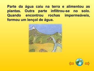 Parte da água caiu na terra e alimentou as
plantas. Outra parte infiltrou-se no solo.
Quando encontrou rochas impermeáveis,
formou um lençol de água.
 