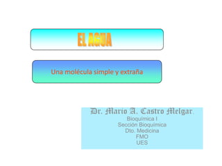 Una molécula simple y extraña




            Dr. Mario A. Castro Melgar.
                        Bioquímica I
                     Sección Bioquímica
                       Dto. Medicina
                           FMO
                            UES
 