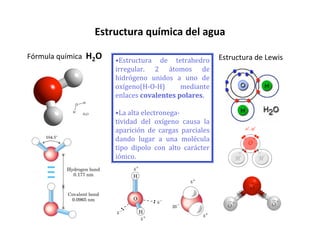 Estructura química del agua

Fórmula química  H2O   •Estructura  de  tetrahedro         Estructura de Lewis
                       irregular.  2  átomos  de
                       hidrógeno  unidos  a  uno  de
                       oxígeno(H‐O‐H)      mediante
                       enlaces covalentes polares.

                       •La alta electronega‐
                       tividad  del  oxígeno  causa  la
                       aparición  de  cargas  parciales
                       dando  lugar  a  una  molécula
                       tipo  dipolo  con  alto  carácter
                       iónico.
 