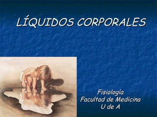LÍQUIDOS CORPORALES Fisiología Facultad de Medicina U de A 