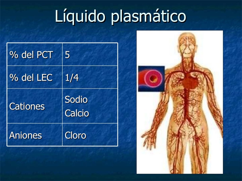 Agua Corporal Total