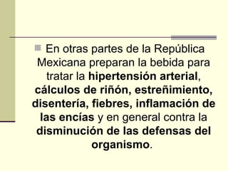 <ul><li>En otras partes de la República Mexicana preparan la bebida para tratar la  hipertensión arterial ,  cálculos de r...