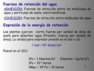 Fuerzas de retención del agua  ADHESIÓN:  F uerzas de atracción entre las moléculas de agua y partículas de suelo; electrostáticas COHESIÓN :  Fuerzas de atracción entre moléculas de agua   Las plantas ejercen  cierta fuerza por unidad de área de suelo para absorber agua (Presión= fuerza por unidad de área). La unidad para expresar presión es el bar o cb: 1 bar= 10 6  dinas/cm 2 Pascal en el  SIU:  1Pa = 1 Newton/m 2   (Newton = kg/m/s 2 ) 1Pa = 10 -5  bares 1Mpa = 10 6  Pa = 10 bares Expresión de la energía de retención 