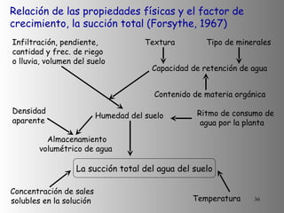 Relación de las propiedades físicas y el factor de crecimiento, la succión total (Forsythe, 1967) Infiltración, pendiente, cantidad y frec. de riego o lluvia, volumen del suelo  Textura  Tipo de minerales  Capacidad de retención de agua  Contenido de materia orgánica  Densidad  aparente  Humedad del suelo  Ritmo de consumo de agua por la planta  Almacenamiento volumétrico de agua  La succión total del agua del suelo Concentración de sales solubles en la solución  Temperatura  