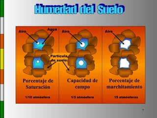 Humedad  del  Suelo Porcentaje de Saturación 1/10 atmósfera Aire Partícula de suelo Agua Porcentaje de marchitamiento 15 atmósferas Aire Capacidad de campo 1/3 atmósfera Aire 