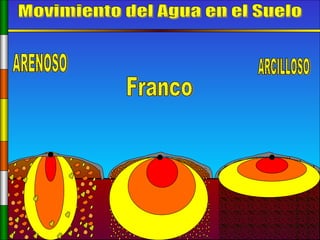 Movimiento del Agua en el Suelo ARENOSO ARCILLOSO Franco 