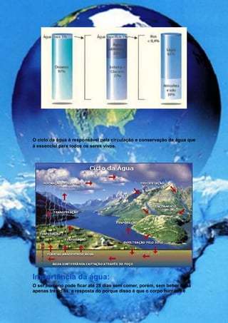 O ciclo da água é responsável pela circulação e conservação da água que
á essencial para todos os seres vivos.




Importância da água:
O ser humano pode ficar até 28 dias sem comer, porém, sem beber água
apenas três dias, a resposta do porque disso é que o corpo humano é
 
