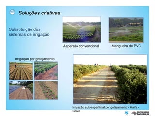 Soluções criativas Substituição dos sistemas de irrigação Aspersão convencional Mangueira de PVC Irrigação sub-superficial por gotejamento - Haifa - Israel  Irrigação por gotejamento 