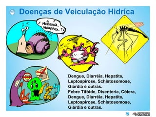 Doenças de Veiculação Hidríca Dengue, Diarréia, Hepatite, Leptospirose, Schistosomose, Giardia e outras. Febre Tifóide, Disenteria, Cólera, Dengue, Diarréia, Hepatite, Leptospirose, Schistosomose, Giardia e outras. 