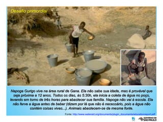 Desafio primordial Napoga Gurigo vive na área rural de Gana. Ela não sabe sua idade, mas é provável que seja próxima a 12 anos. Todos os dias, às 5:30h, ela inicia a coleta de água no poço, levando em torno de três horas para abastecer sua família. Napoga não vai à escola. Ela não ferve a água antes de beber (dizem por lá que não é necessário, pois a água não contém coisas vivas...). Animais abastecem-se da mesma fonte. Fonte:  http://www.wateraid.org/documents/plugin_documents/educationreport.pdf 