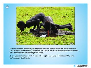 Dois sudaneses bebem água do pântanos com tubos plásticos, especialmente concebidos para este fim, com filtro para filtrar as larvas flutuantes responsáveis pela enfermidade da lombriga de Guiné.  O programa distribuiu milhões de tubos e já conseguiu reduzir em 70% esta enfermidade debilitante.  