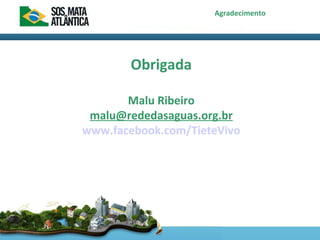 Agradecimento
Obrigada
Malu Ribeiro
malu@rededasaguas.org.br
www.facebook.com/TieteVivo
 