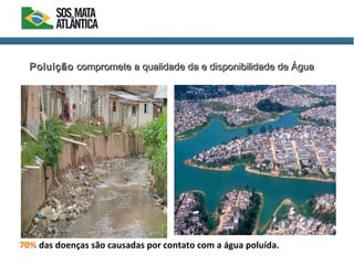 70% das doenças são causadas por contato com a água poluída.
PoluiçãoPoluição compromete a qualidade da e disponibilidade de Águacompromete a qualidade da e disponibilidade de Água
 