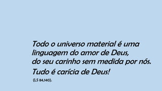 Todo o universo material é uma
linguagem do amor de Deus,
do seu carinho sem medida por nós.
Tudo é carícia de Deus!
(LS 84,140).
 