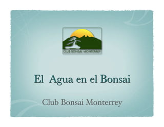 Club Bonsai Monterrey	

 