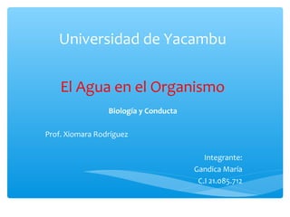 El Agua en el Organismo
Biología y Conducta
Prof. Xiomara Rodríguez
Integrante:
Gandica María
C.I 21.085.712
Universidad de Yacambu
 