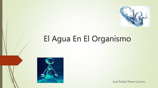 El Agua En El Organismo
José Rafael Pérez Carrero
 