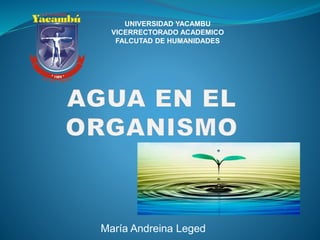 María Andreina Leged
UNIVERSIDAD YACAMBU
VICERRECTORADO ACADEMICO
FALCUTAD DE HUMANIDADES
 