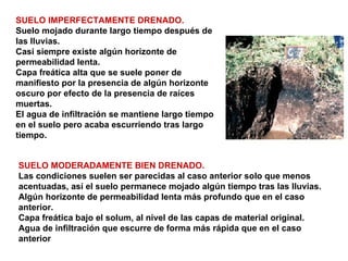 SUELO IMPERFECTAMENTE DRENADO. Suelo mojado durante largo tiempo después de las lluvias. Casi siempre existe algún horizonte de permeabilidad lenta. Capa freática alta que se suele poner de manifiesto por la presencia de algún horizonte oscuro por efecto de la presencia de raíces muertas. El agua de infiltración se mantiene largo tiempo en el suelo pero acaba escurriendo tras largo tiempo. SUELO MODERADAMENTE BIEN DRENADO. Las condiciones suelen ser parecidas al caso anterior solo que menos acentuadas, así el suelo permanece mojado algún tiempo tras las lluvias. Algún horizonte de permeabilidad lenta más profundo que en el caso anterior. Capa freática bajo el solum, al nivel de las capas de material original. Agua de infiltración que escurre de forma más rápida que en el caso anterior 